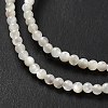 Natural White Shell Beads Strands SHEL-G014-14-4