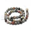 Natural Ocean Jasper Beads Strands G-R448-6mm-11-2