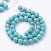Natural Green Turquoise Beads Strands X-G-T055-10mm-12-2