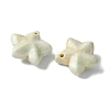 Natural Rainbow Alashan Agate Charms G-G194-02C-2