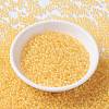 MIYUKI Round Rocailles Beads SEED-X0055-RR0202-2