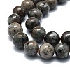 Natural Fluorescent Syenite Rock(Glow under UV Light) Beads Strands G-G789-02C-4