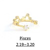 Twelve Constellation Brass Micro Pave Clear Cubic Zirconia Cuff Rings FS-WG8E359-03-1