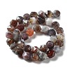 Natural Botswana Agate Beads Strands G-NH0002-C01-03-3