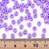 6/0 Glass Seed Beads SEED-T005-14-B04-4