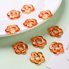 Transparent Acrylic Bead Frames TACR-S154-29B-84-6