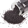 MIYUKI Delica Beads SEED-X0054-DB2405-1