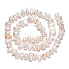Natural Cultured Freshwater Pearl Beads Strands PEAR-N014-05-3