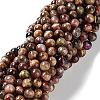 Natural Rainbow Tiger Eye Beads Strands G-NH0002-A01-B05-1