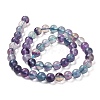 Natural Fluorite Beads Strands G-B048-B01-02-4