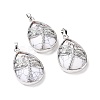 Natural Howlite Pendants G-G900-01P-15-1