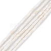 Natural Freshwater Shell Dyed Beads Strands X-SHEL-M018-12-12-2