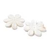 Natural Freshwater Shell Pendants SHEL-D082-08A-2