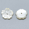 Natural White Shell Beads SSHEL-S260-022-2