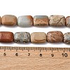 Natural Aqua Terra Jasper Beads Strands G-L624-F03-14x10mm-5