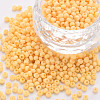 8/0 Opaque Glass Seed Beads X1-SEED-S048-N-018-1