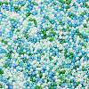 Baking Paint Glass Seed Beads X-SEED-S042-05B-52-3