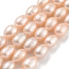 Natural Cultured Freshwater Pearl Beads Strands PEAR-P062-10G-2