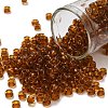 TOHO 6/0 Round Beads X-SEED-TR06-2152-1
