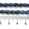 Natural Dolomite Beads Strands G-F765-A03-01-5
