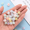 Transparent Acrylic Beads TACR-T024-06B-5