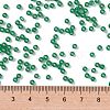 MIYUKI Round Rocailles Beads SEED-JP0009-RR0646-4