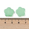 Transparent Glass Beads DGLA-E004-03F-3