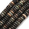 Natural Biotite Beads Strands G-B155-B04-4x10mm-2