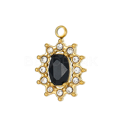 304 Stainless Steel Cubic Zirconia Charms STAS-OY003-99G-02-1
