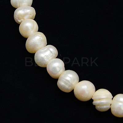 Natural Cultured Freshwater Pearl Beads Strands X-PEAR-L001-C-14-1