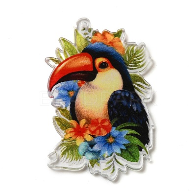 Acrylic Pendants OACR-O007-02E-1