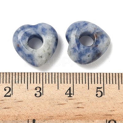 Natural Blue Spot Jasper European Beads G-C252-01B-1