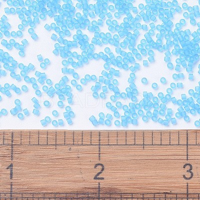 MIYUKI Delica Beads X-SEED-J020-DB1269-1