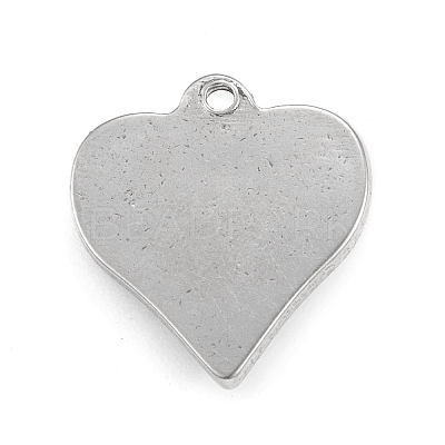Non-Tarnish 304 Stainless Steel Pendants STAS-F287-51P-1