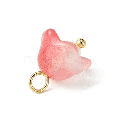 Transparent Spray Painted Glass Charms PALLOY-TA00091-1