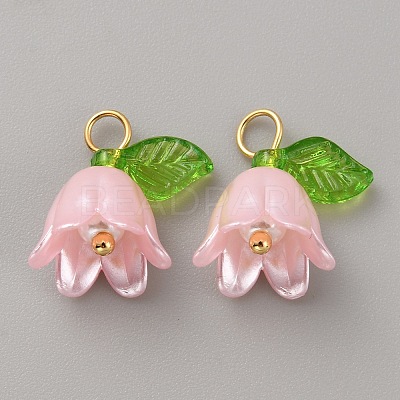 Acrylic Charms LS-KY-TAC0009-03C-1
