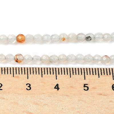 Natural Agate Beads Strands G-H302-A04-03-1