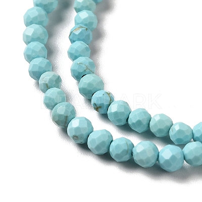 Natural Howlite Beads Strands G-C025-03B-01-1