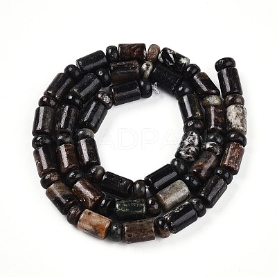 Natural Biotite Beads Strands G-N346-03A-02-1