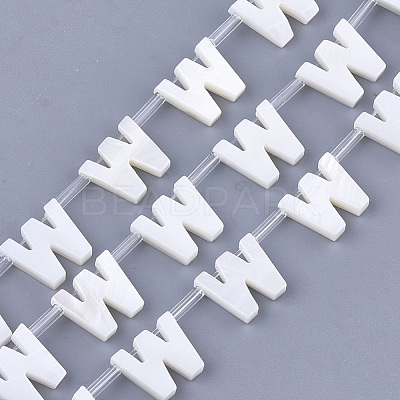 Natural Freshwater Shell Beads SHEL-T012-59W-1