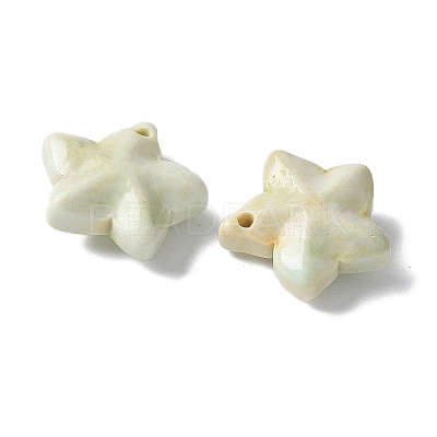 Natural Rainbow Alashan Agate Charms G-G194-02C-1