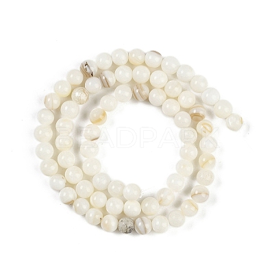 Natural Cultured Freshwater Shell Beads Strands BSHE-H109-03C-1