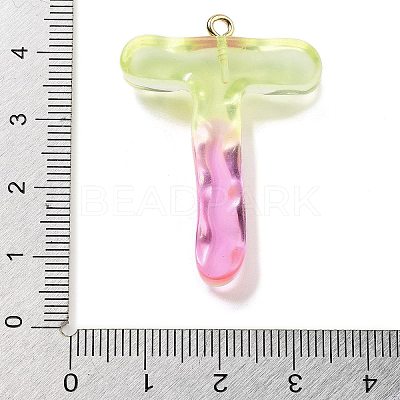 Resin Pendant FIND-Q107-01T-04-1