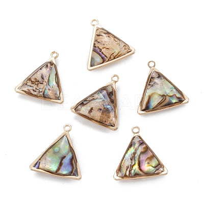 Natural Paua Shell Pendants KK-K252-07G-02-1