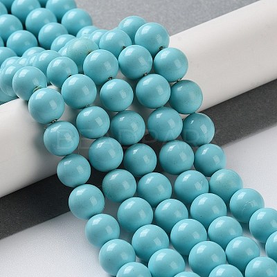 Shell Pearl Beads Strands SP8MM245-1