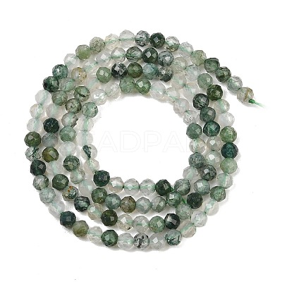 Natural Moss Agate Beads Strands G-J002-03H-A-1