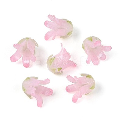 Heat Shrink Acrylic Bead Caps OACR-N155-04B-1