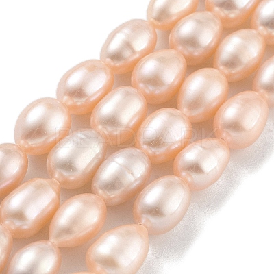 Natural Cultured Freshwater Pearl Beads Strands PEAR-P062-10G-1