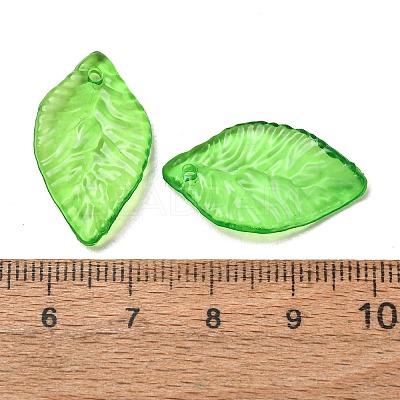 Transparent Acrylic Pendanrs AC-CBA99FE-01-1