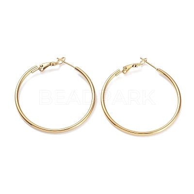 Ring 304 Stainless Steel Hoop Earrings for Women Men EJEW-B049-02D-G-1